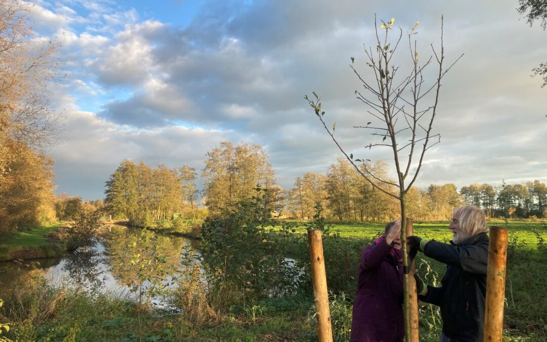 Plant ook een herinneringsboom in het Polderbos